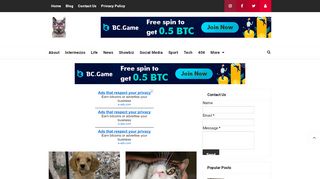 cats usa